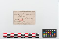 Etiketten zu Bronzebrillenfibel (NHMW-PRAE-024117)